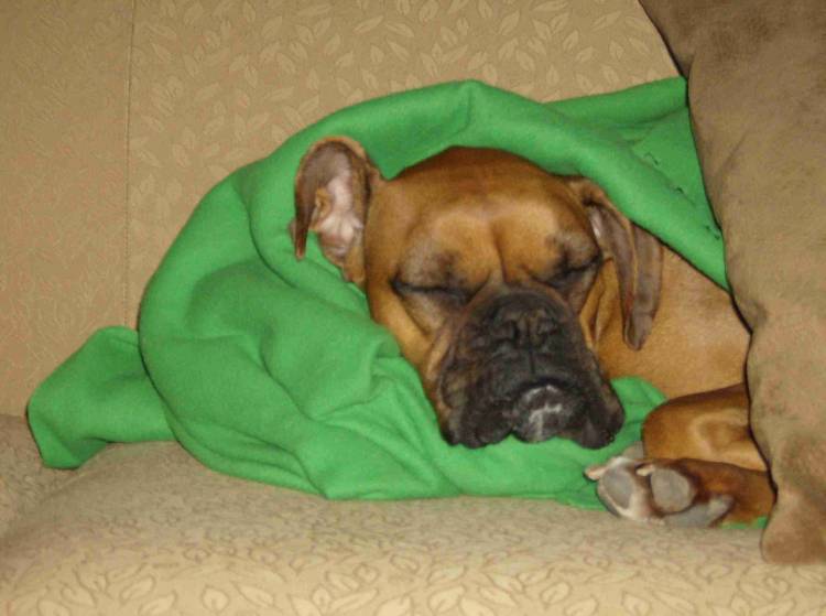 Sleepy girl