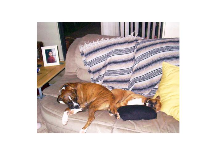 Sleepy Girls