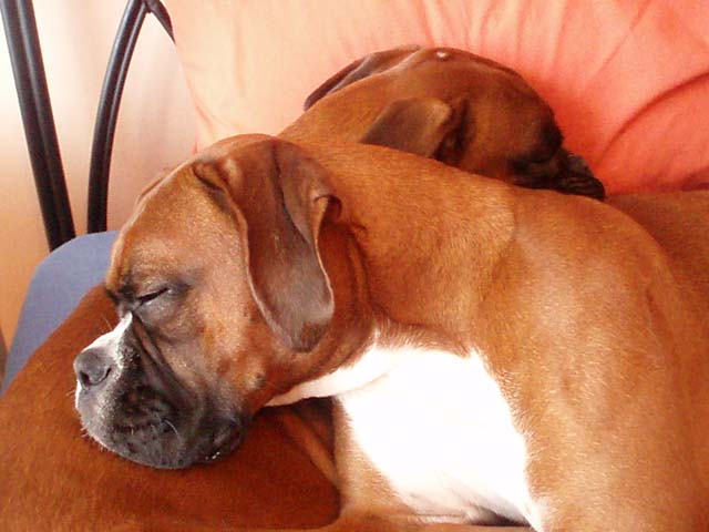 Sleepy Girls