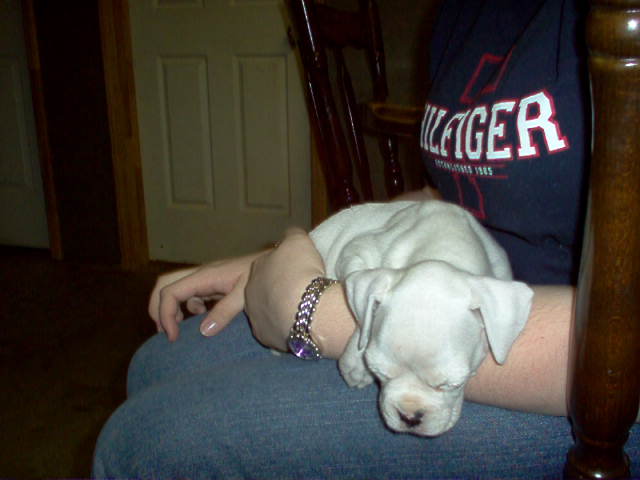 Sleepy head!