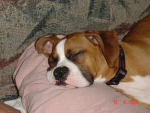 sleepy head