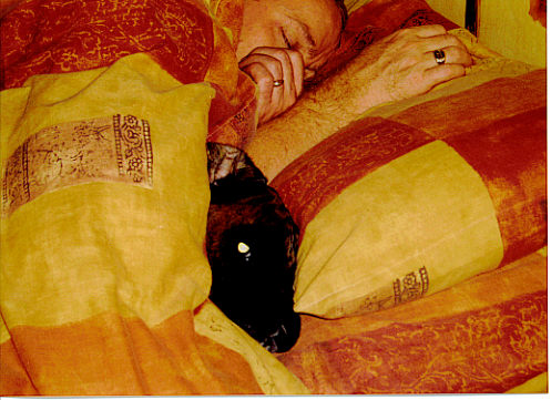 sleepy head