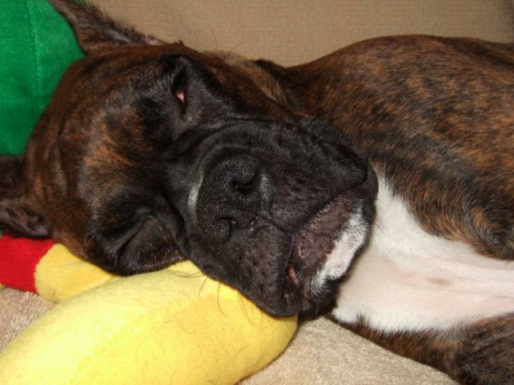 Sleepy head.