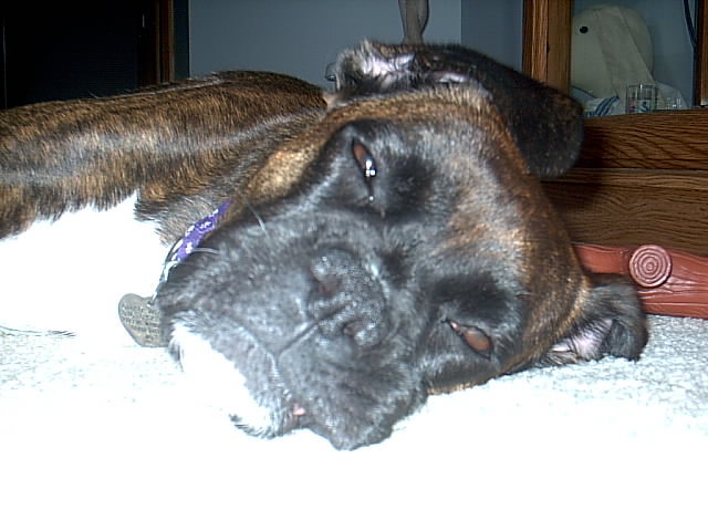 Sleepy Head