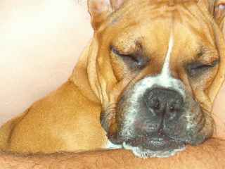 Sleepy head