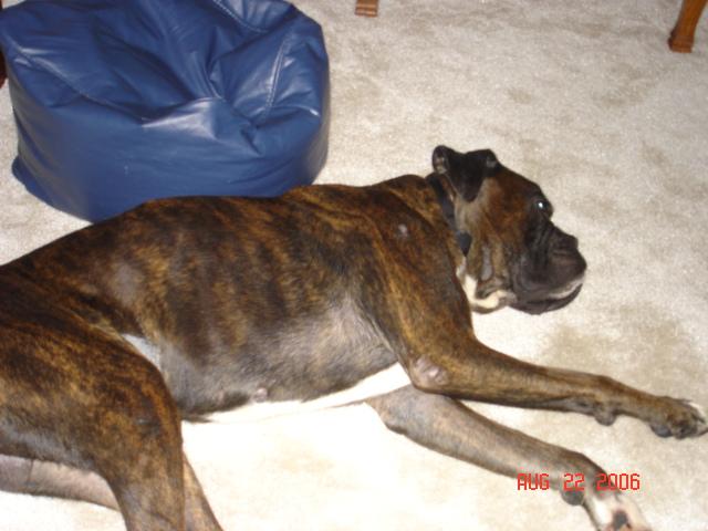 Sleepy Head!