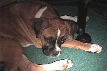 Sleepy Head !!