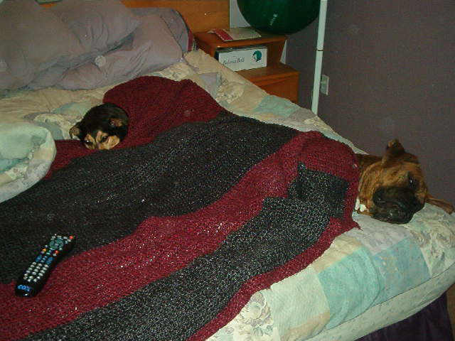 Sleepy Heads
