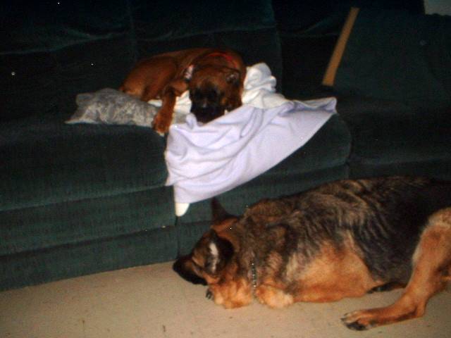 Sleepy Heads