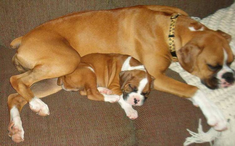 Sleepy Heads