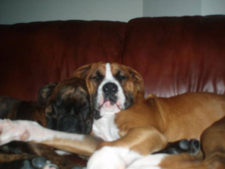 Sleepy heads
