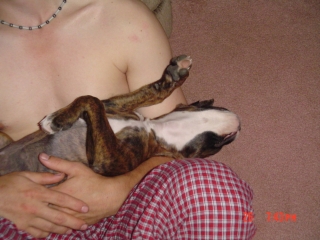 Sleepy Layla