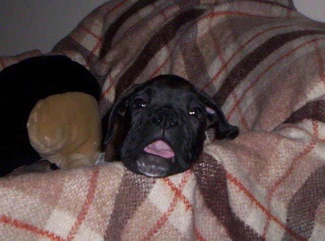 Sleepy Now!