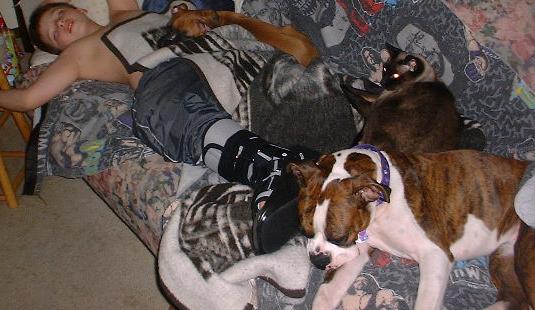 Sleepy pups