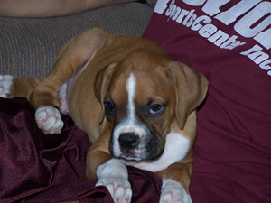 Sleepy Samson