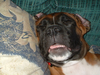 sleepy sleepy