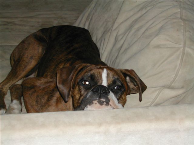 Sleepy Smith