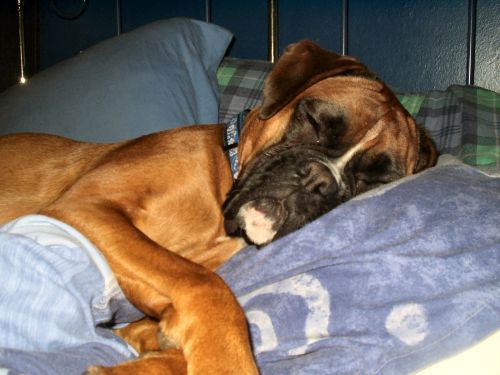 sleepy star April 2005