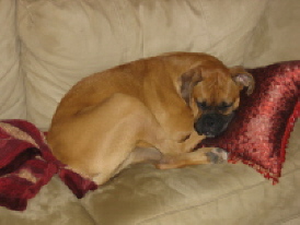 sleepy star