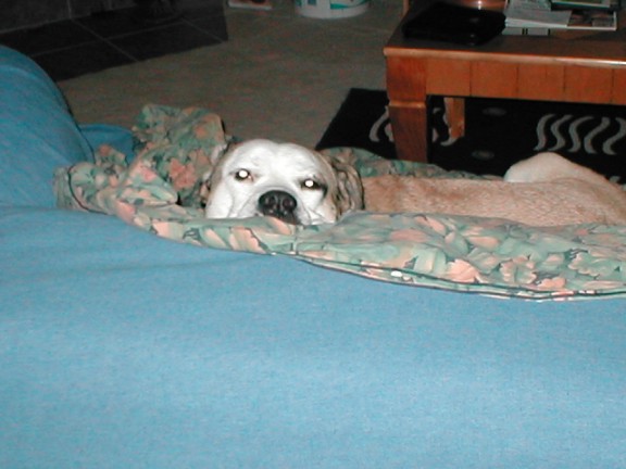 Sleepy Time Part 1