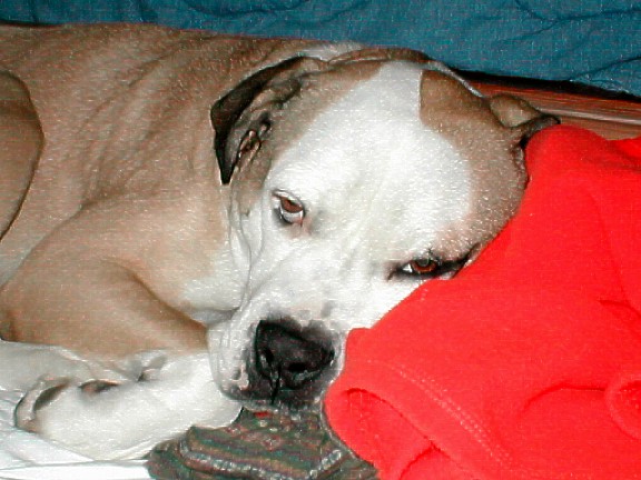 Sleepy Time Part 2