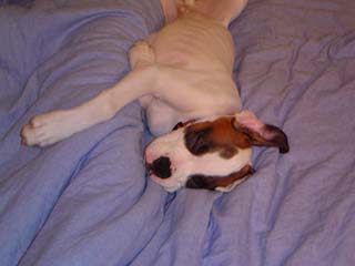 sleepy time