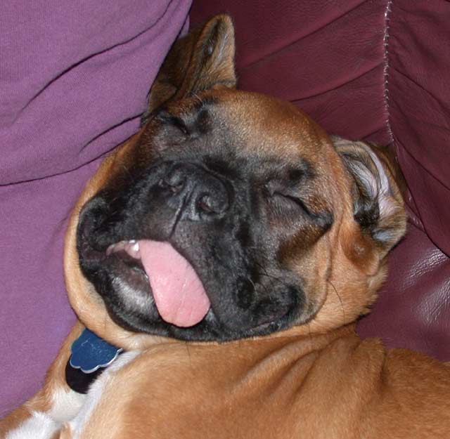 sleepy time!