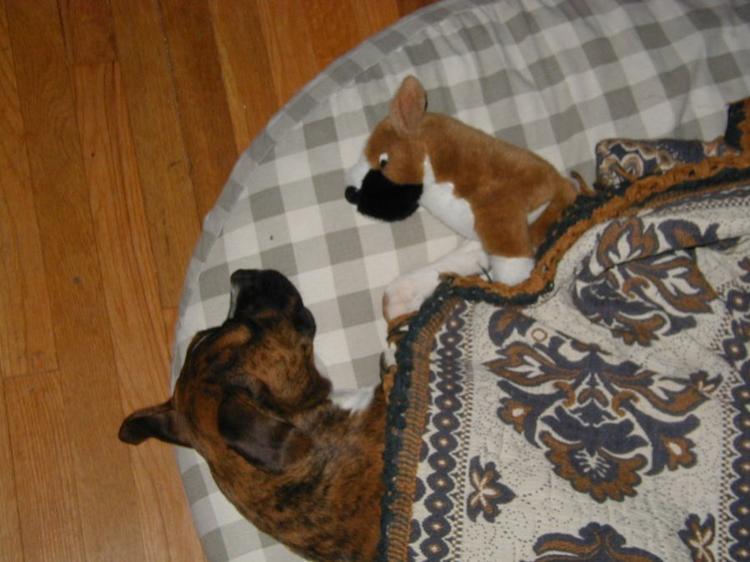 sleepy time