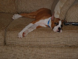 sleepy time