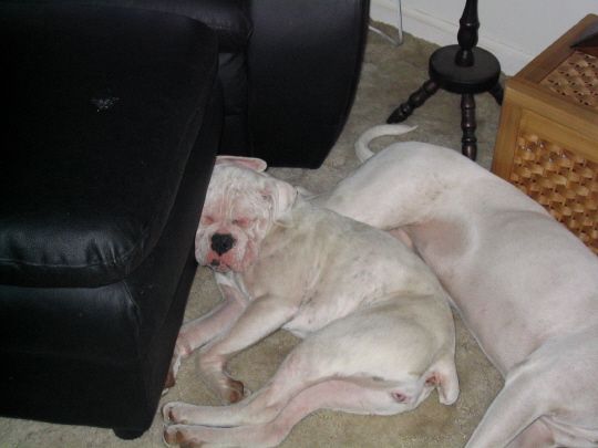 Sleepy Time