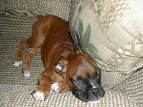 Sleepy time