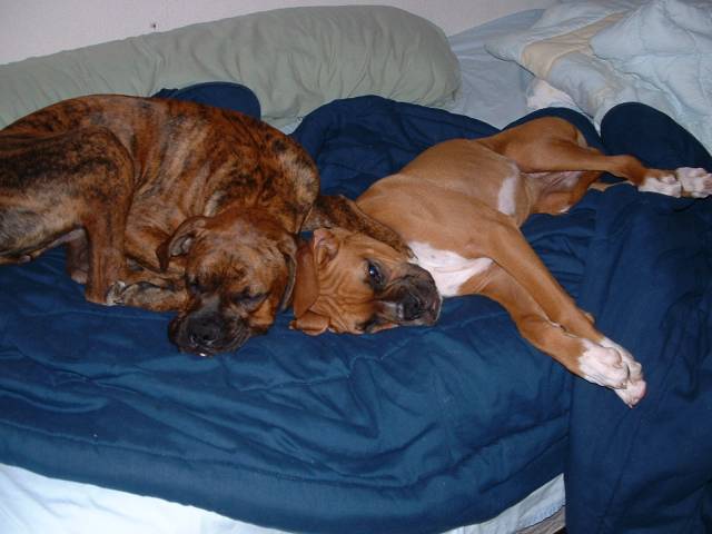 Sleepy Time