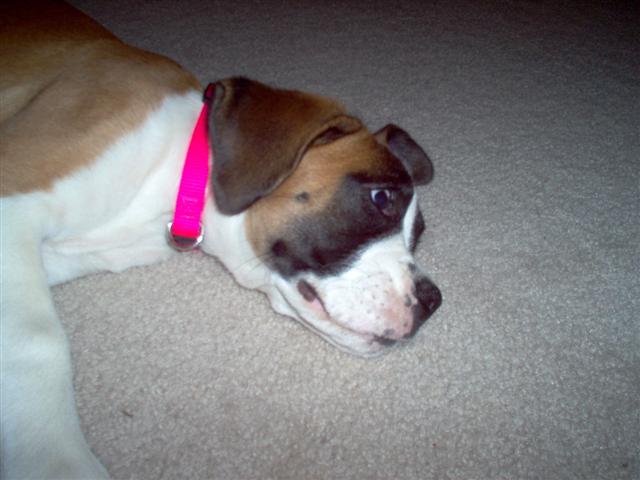 sleepy time