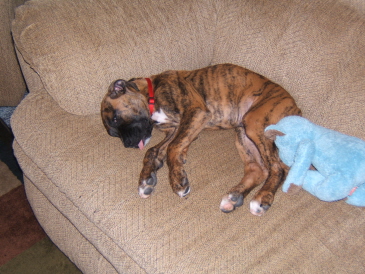Sleepy Time