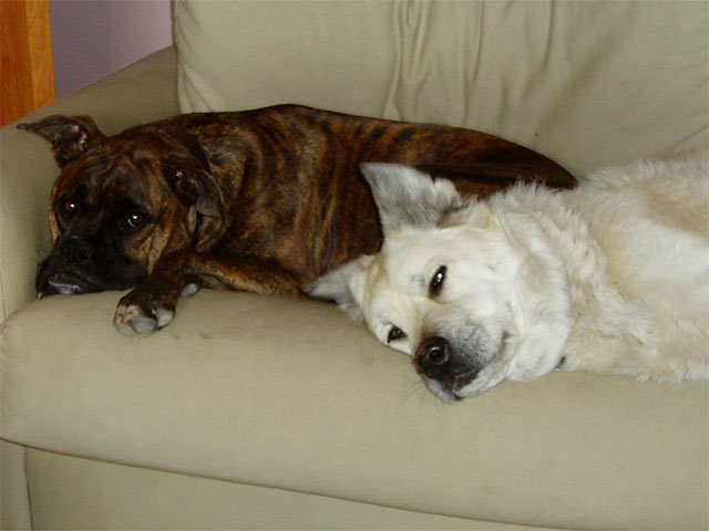 Sleepy Time