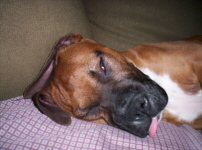 Sleepy Time