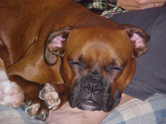 Sleepy Time