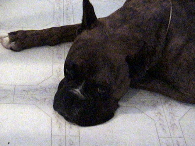 Sleepy Tyson