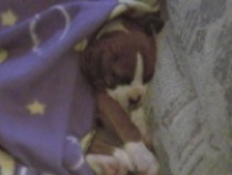 sleepy