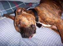 sleepy