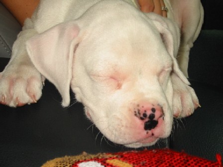 Sleepy