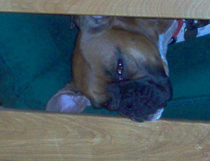 Sleepy