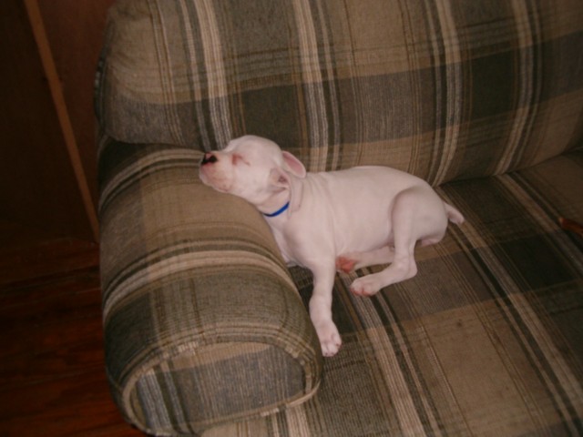 sleepy