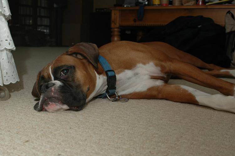 Sleepy