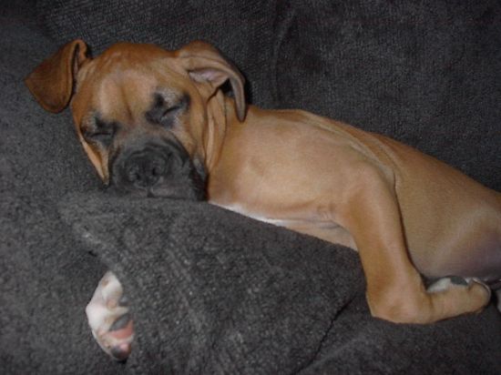 sleepy