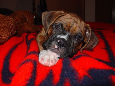 Sleepy