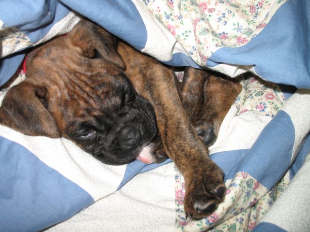 Sleepy