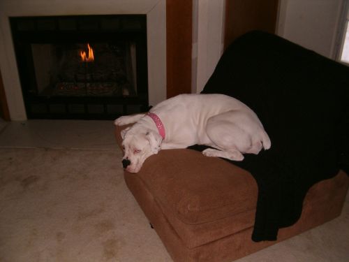 sleepy