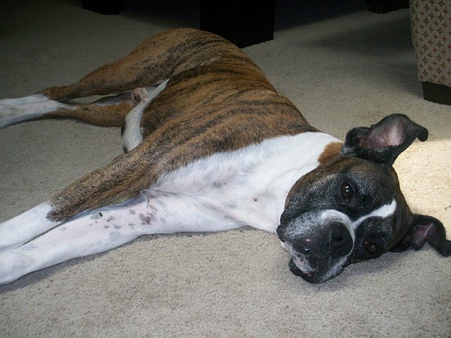 sleepy