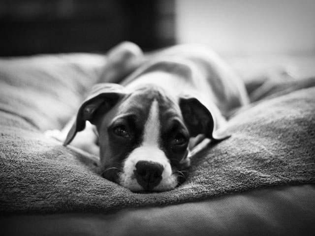 sleepy